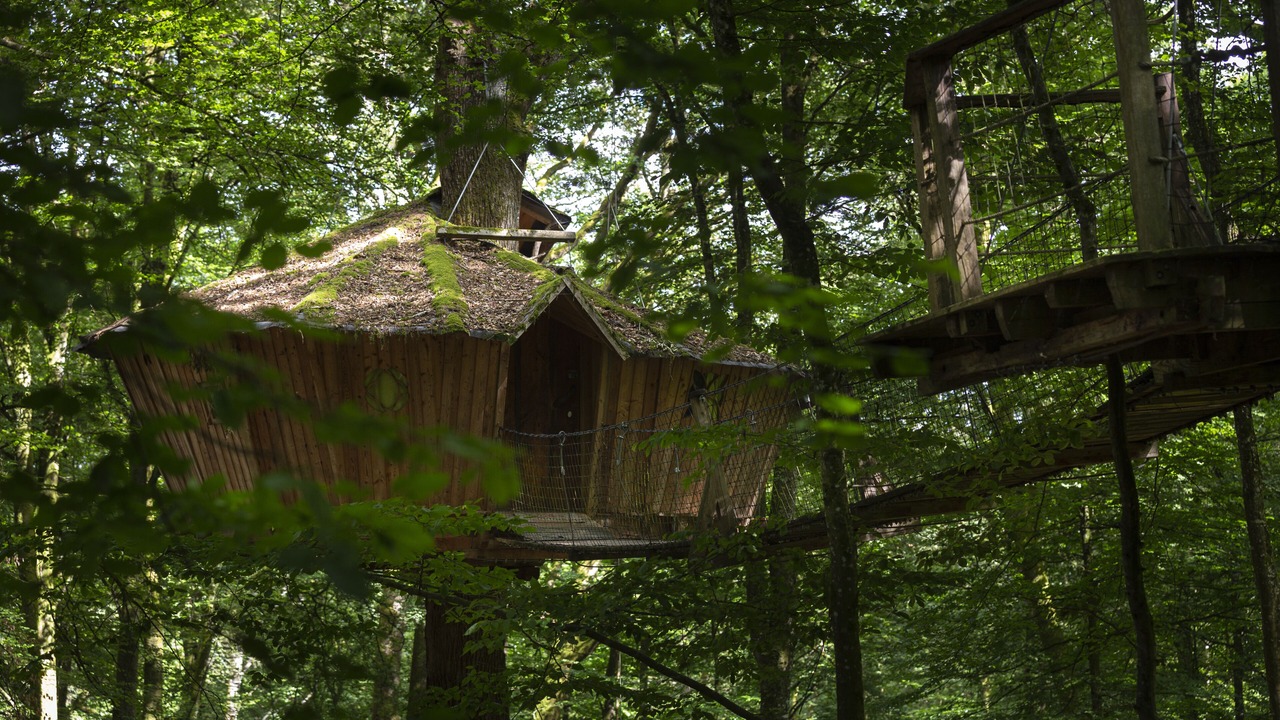 Photo of Outdoor in Guyonvelle