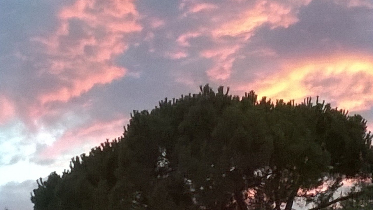Photo of Outdoor in La Gaude