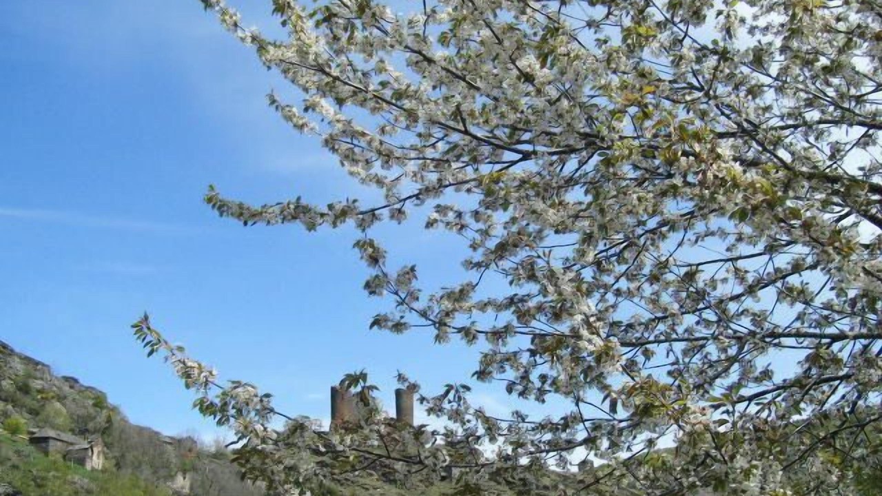 Photo of Outdoor in Bagnols-les-Bains