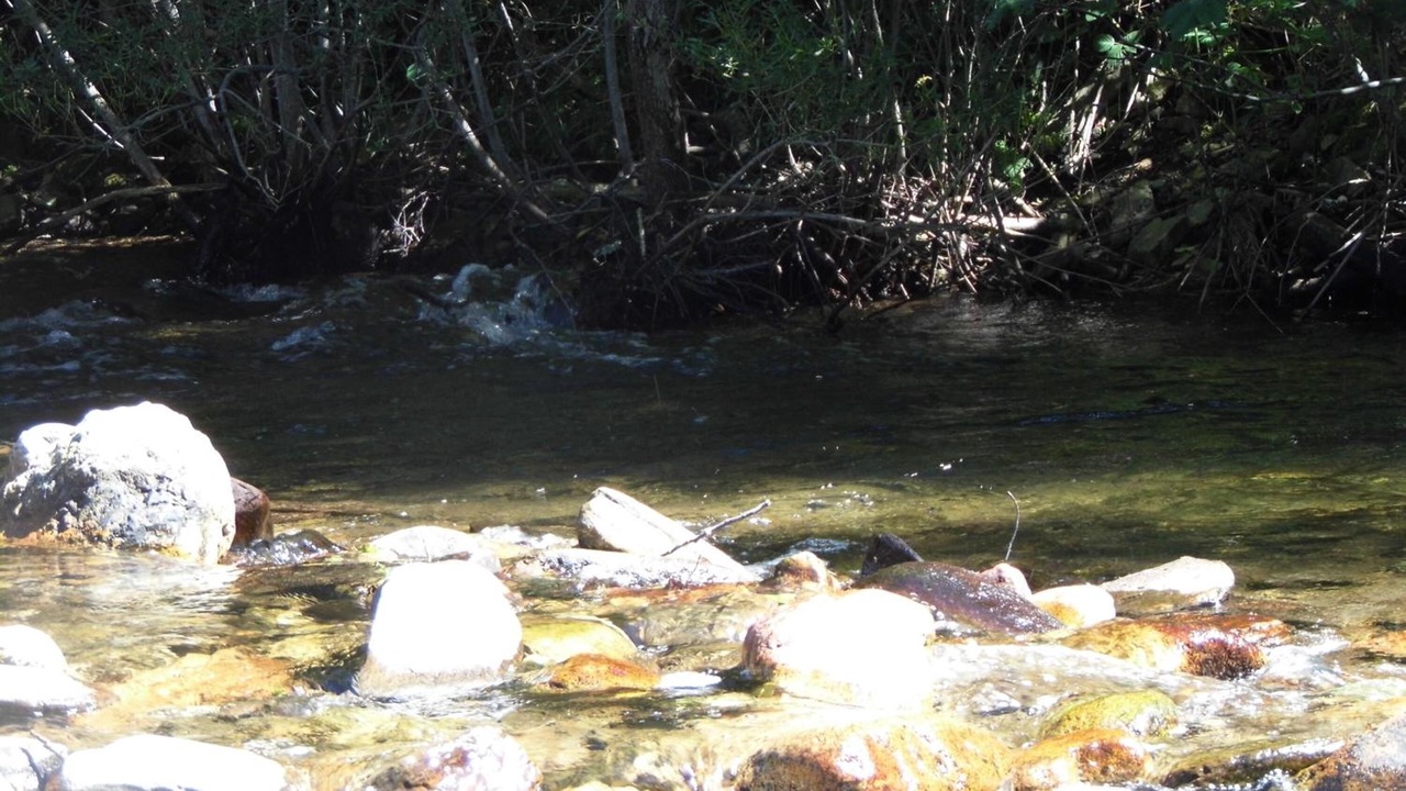 Photo of Outdoor in Bagnols-les-Bains