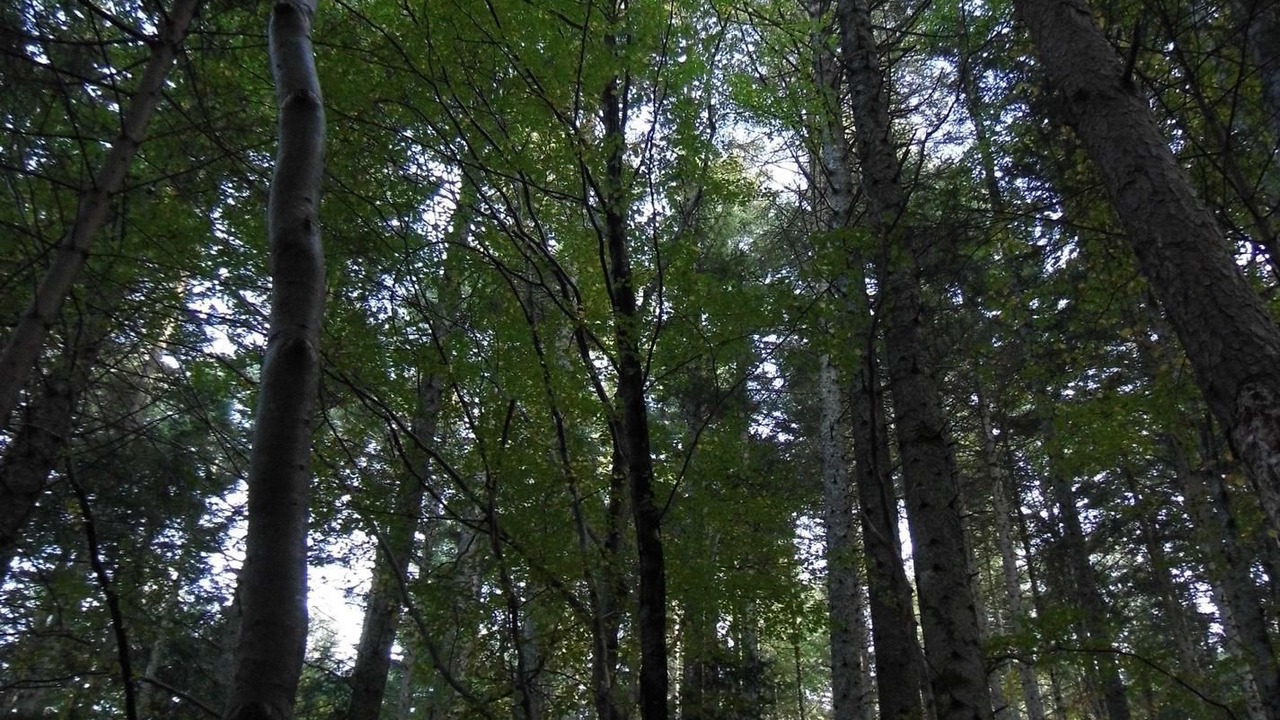 Photo of Outdoor in Bagnols-les-Bains