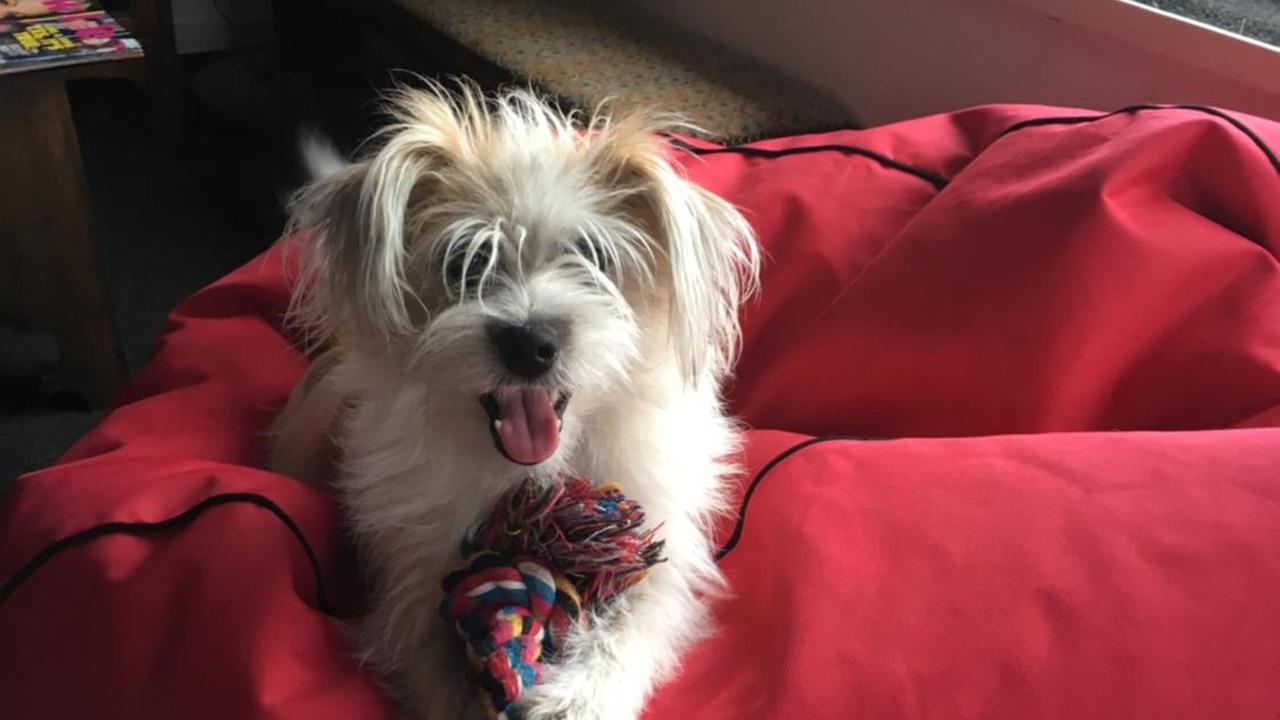 Photo of Others in Hawera