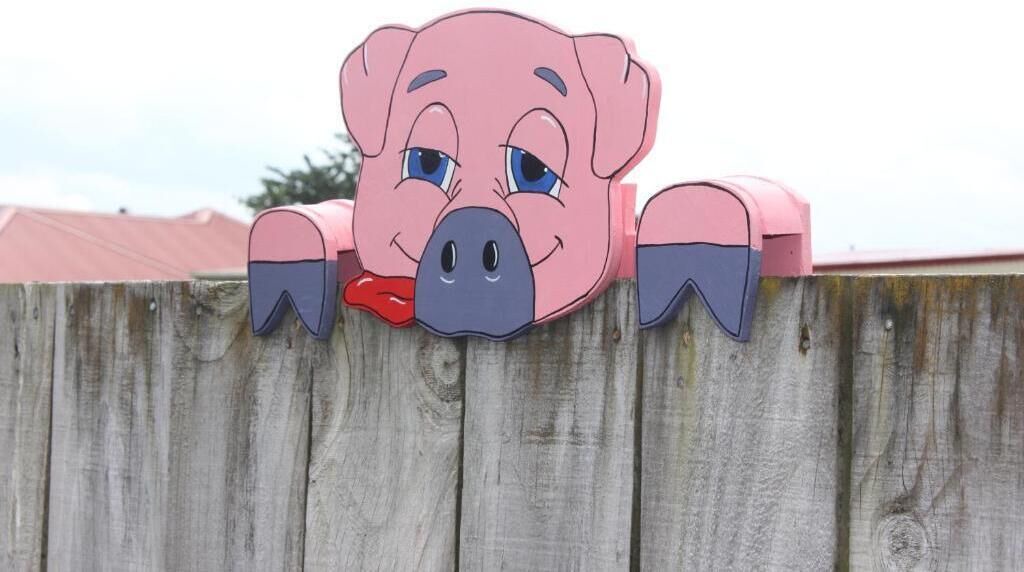 Photo of Others in Hawera