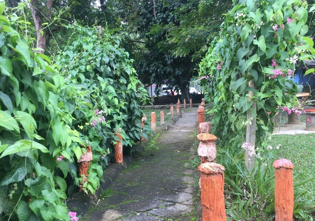 Photo of Others in Janda Baik