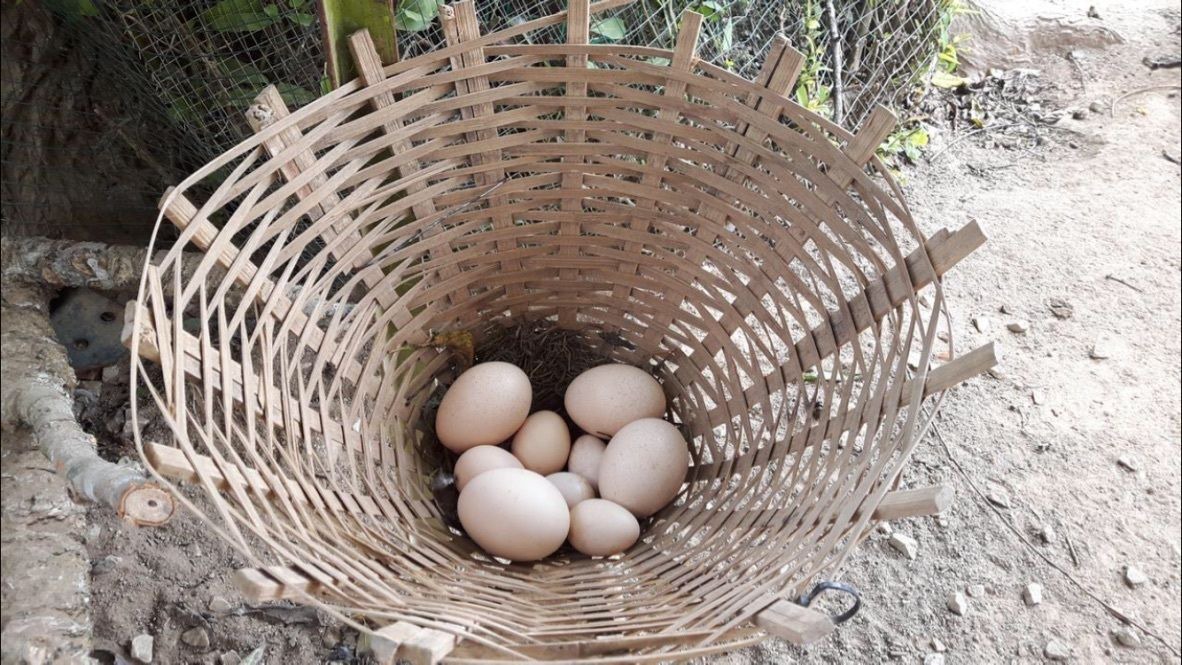 Photo of Others in Janda Baik