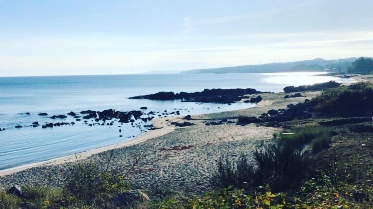 Photo of Outdoor in Sandkaas