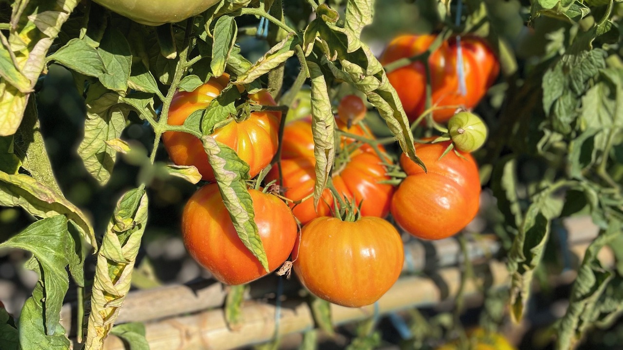 Photo of Outdoor in Nontron