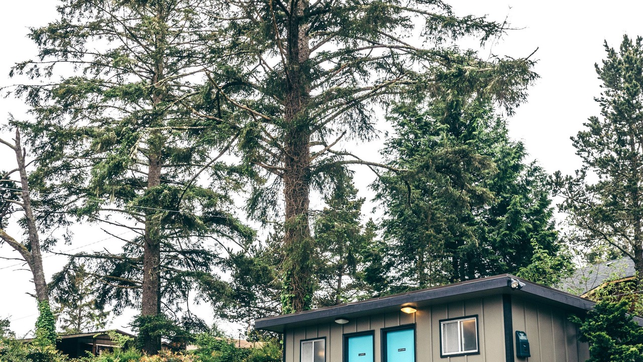 Photo of Outdoor in Westport