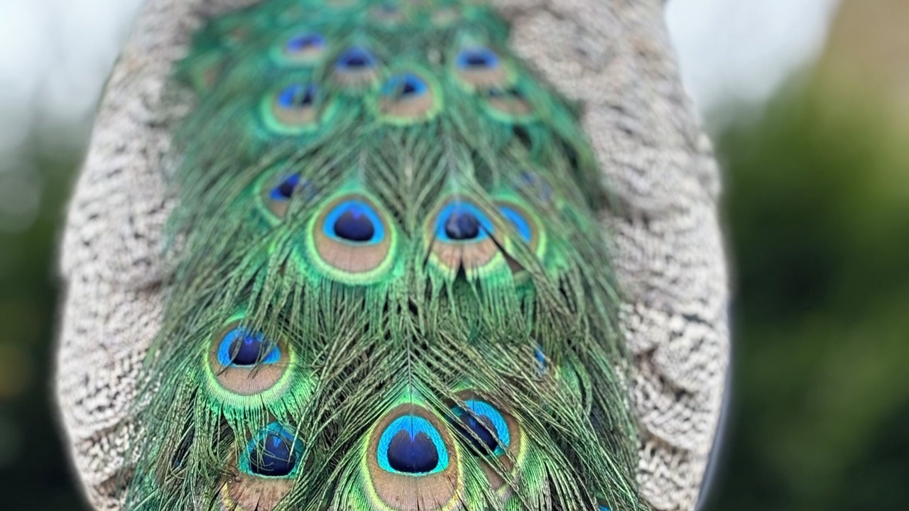 Photo of Outdoor in Hexham