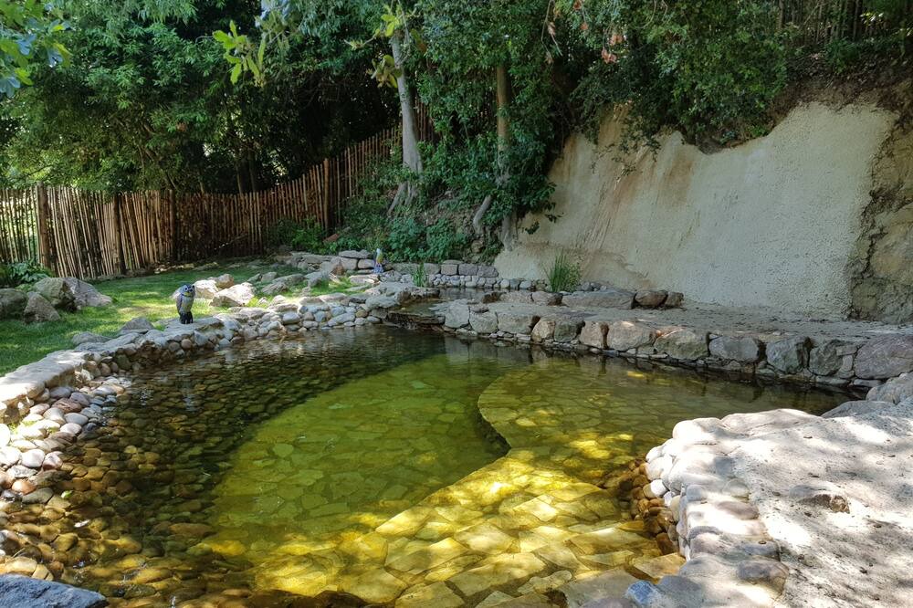 Photo of Outdoor in Joanetes