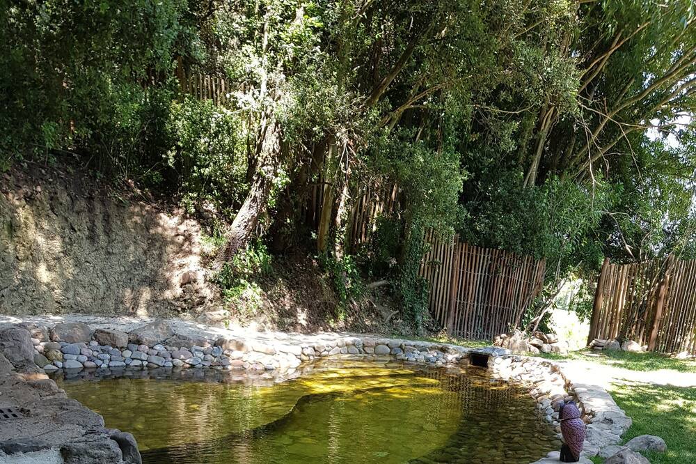Photo of Outdoor in Joanetes