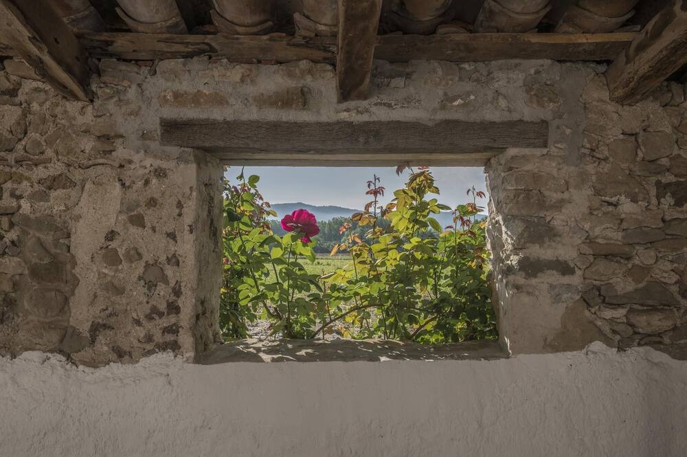Photo of Outdoor in Joanetes