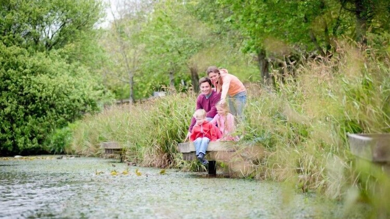 Photo of Outdoor in Looe