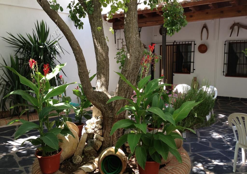 Photo of Others in Villa de Don Fadrique