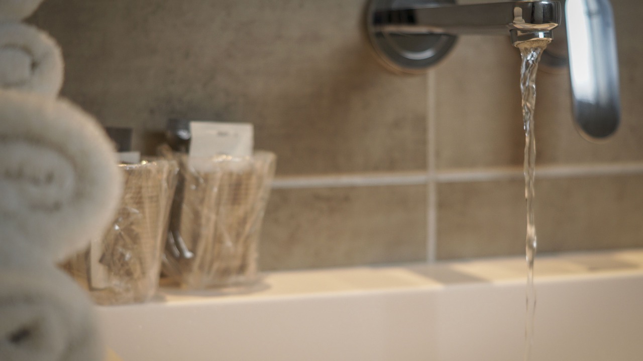 Photo of Others in Pin - Vert Galant