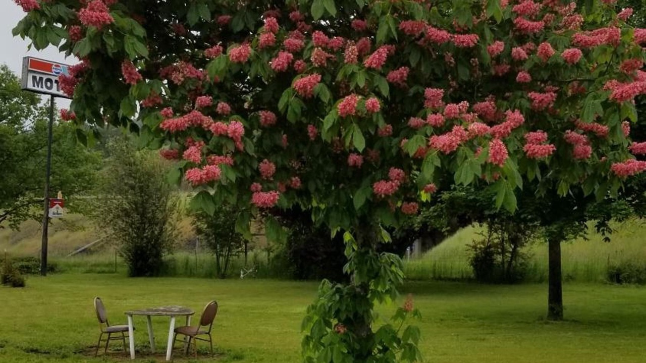 Photo of Outdoor in Myrtle Creek