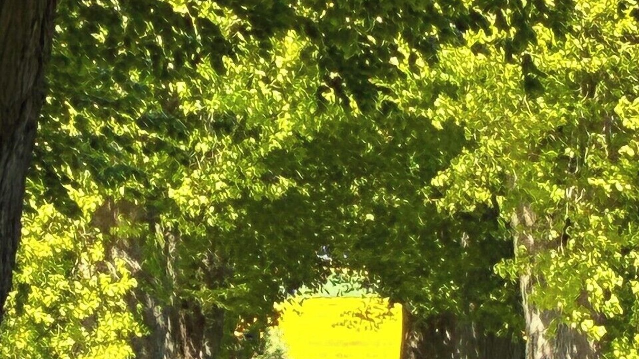 Photo of Outdoor in Borre