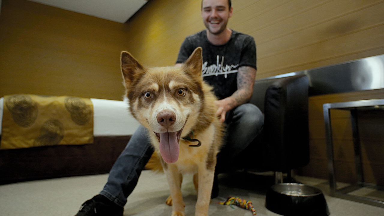 Photo of Bedroom in Gatton