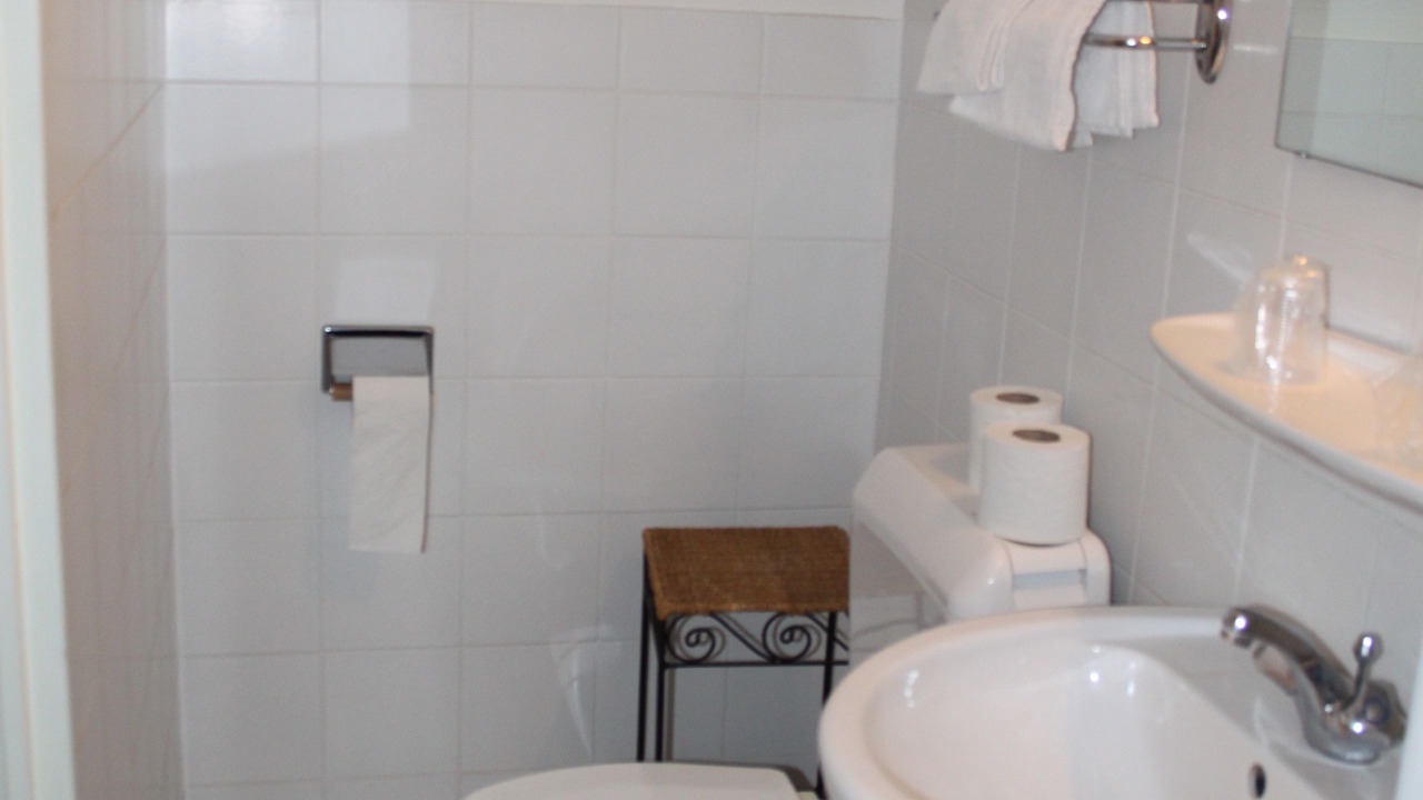 Photo of Bathroom in Lourdes