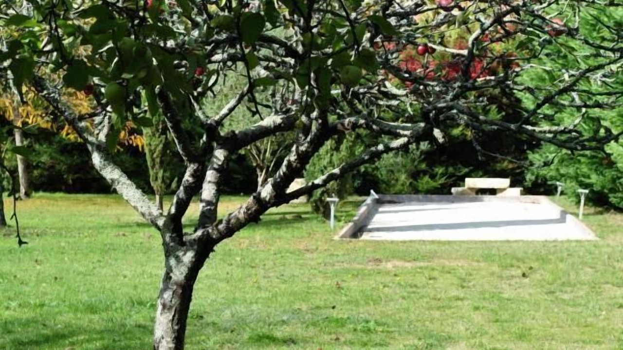 Photo of Outdoor in Meursac