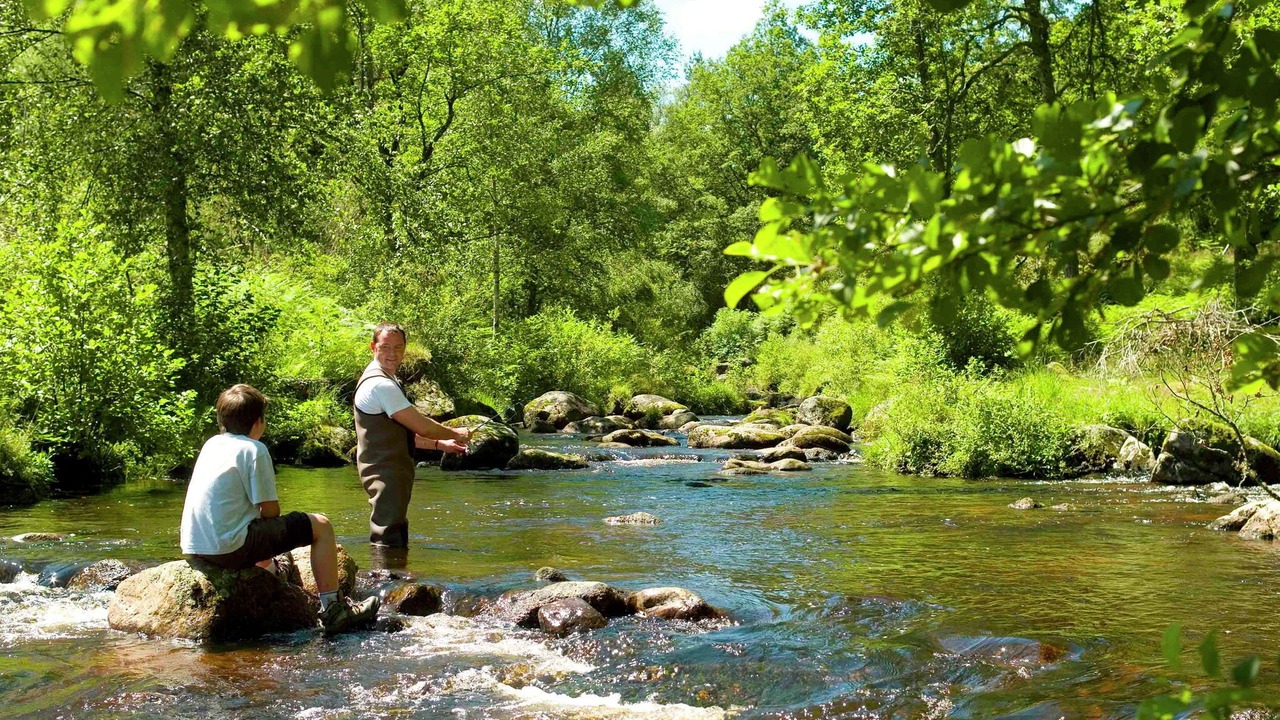 Photo of Others in Chalais