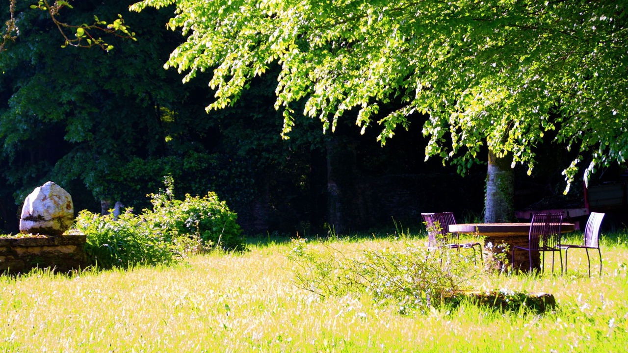 Photo of Outdoor in Chalais