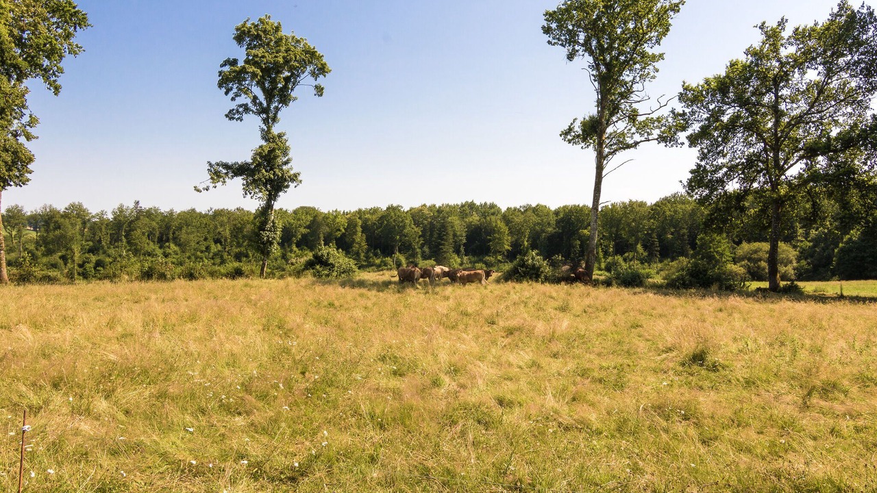 Photo of Outdoor in Chalais