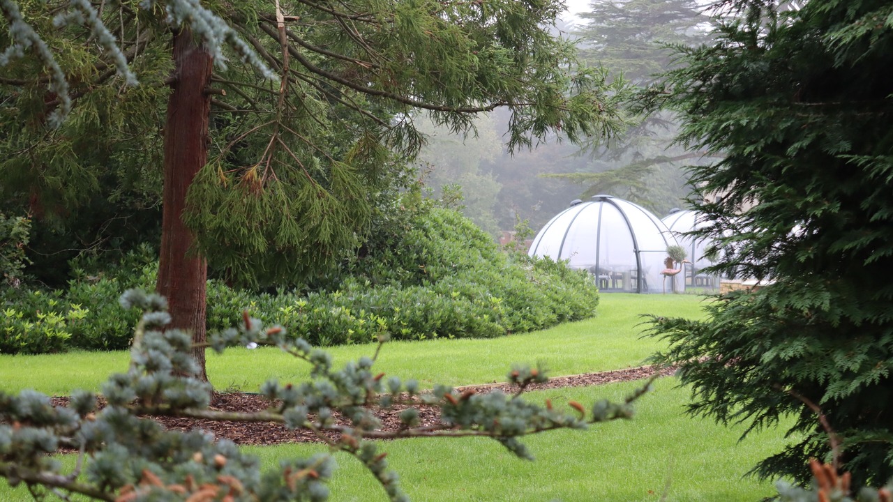 Photo of Outdoor in Locks Heath