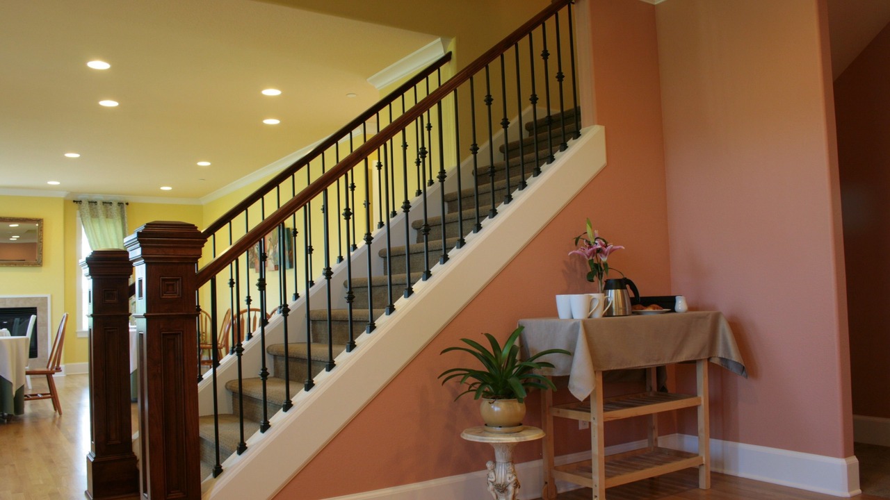 Photo of Others in Dundee