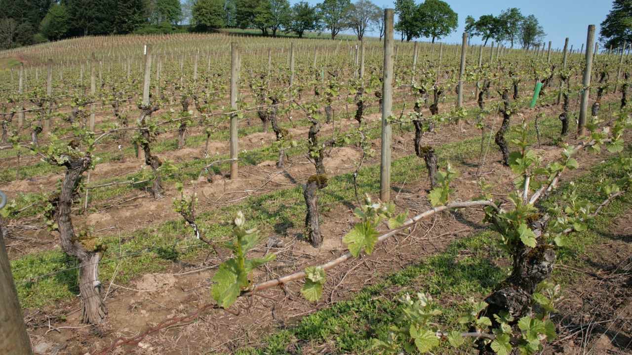 Photo of Others in Dundee