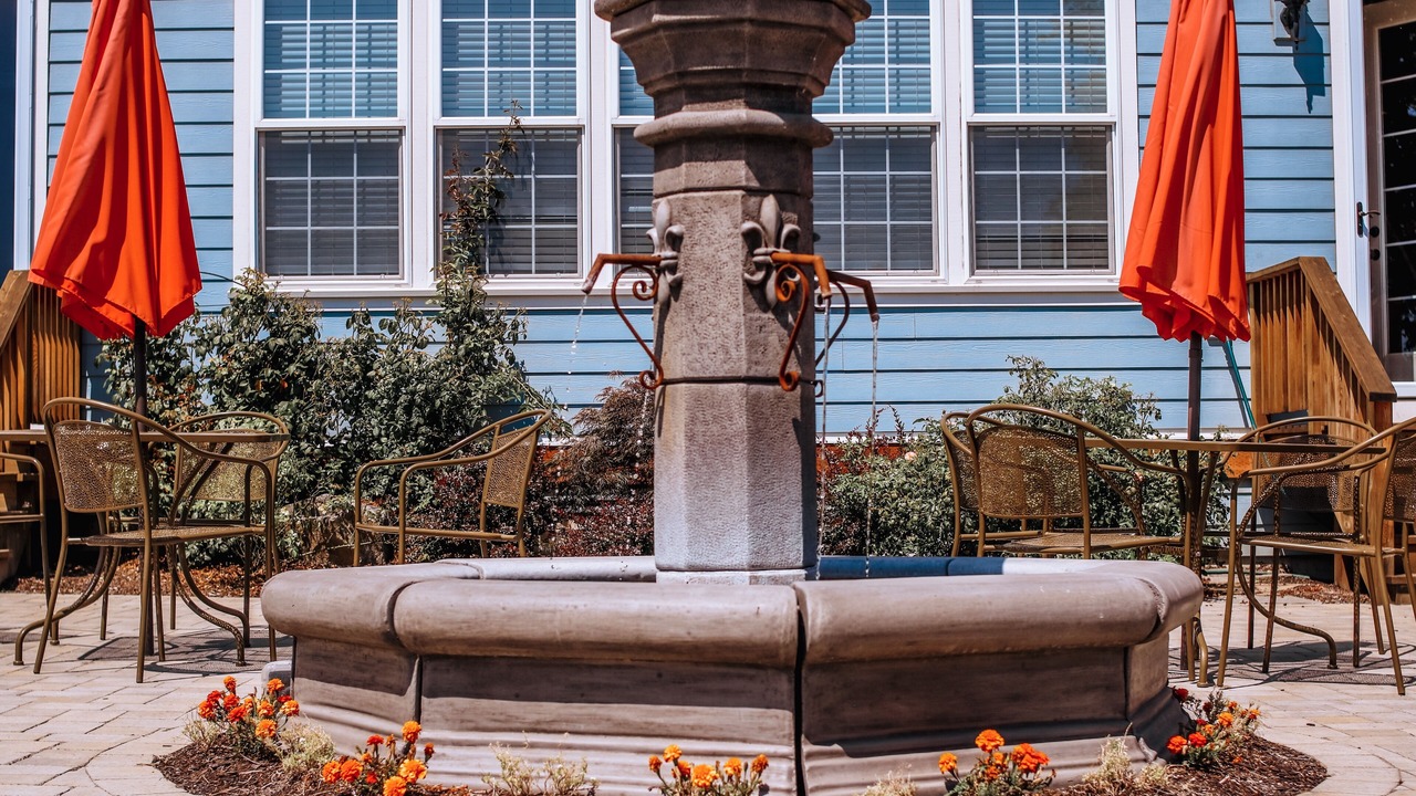 Photo of Others in Dundee