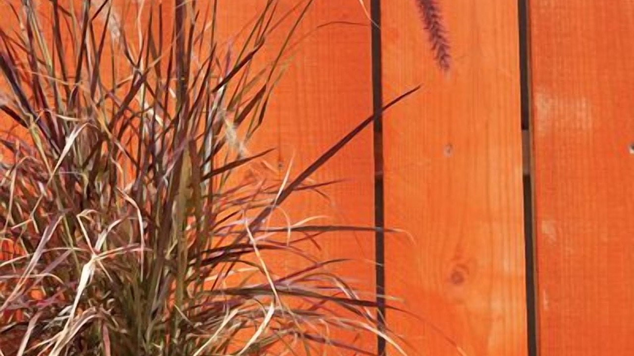 Photo of Outdoor in Lege