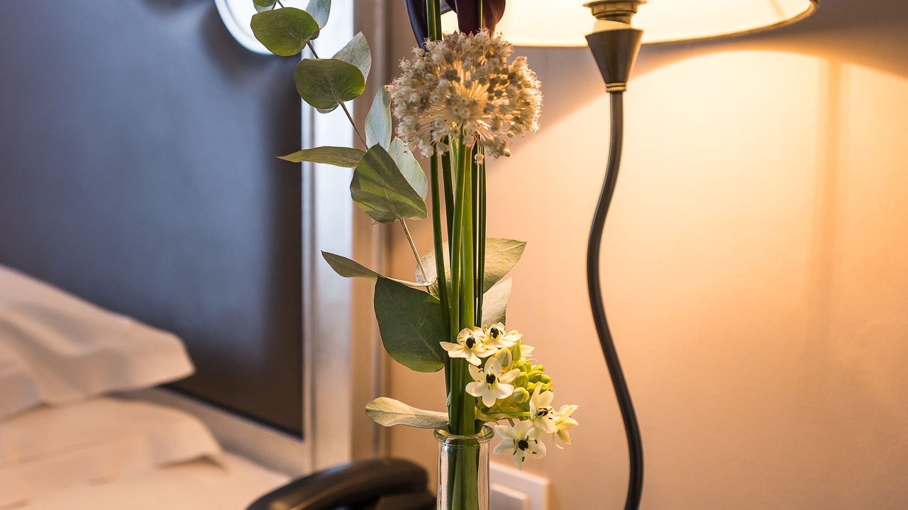 Photo of Bedroom in Deauville City Centre