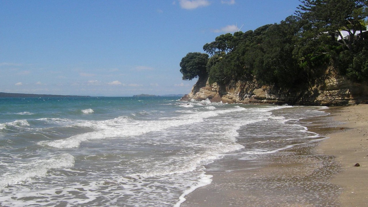 Photo of Others in Takapuna