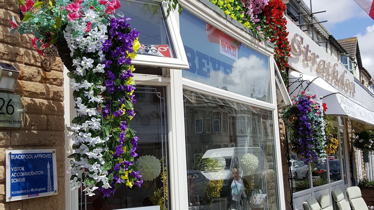 Photo of Outdoor in South Shore