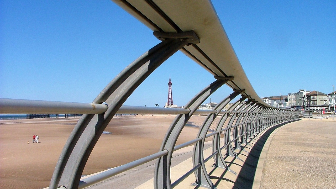 Photo of Others in South Shore