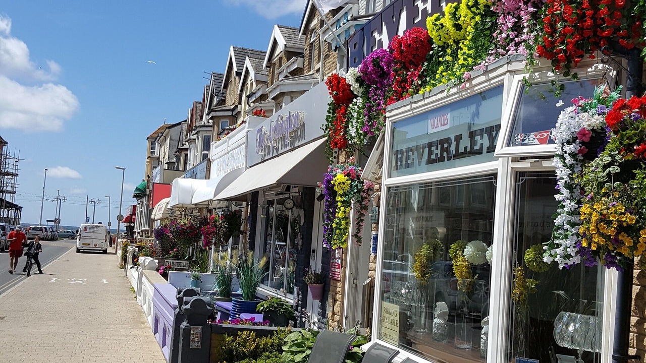 Photo of Outdoor in South Shore