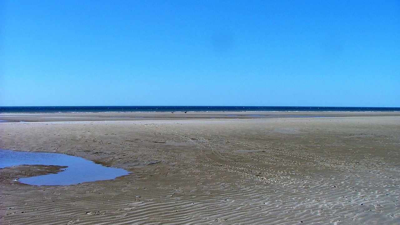 Photo of Others in South Shore