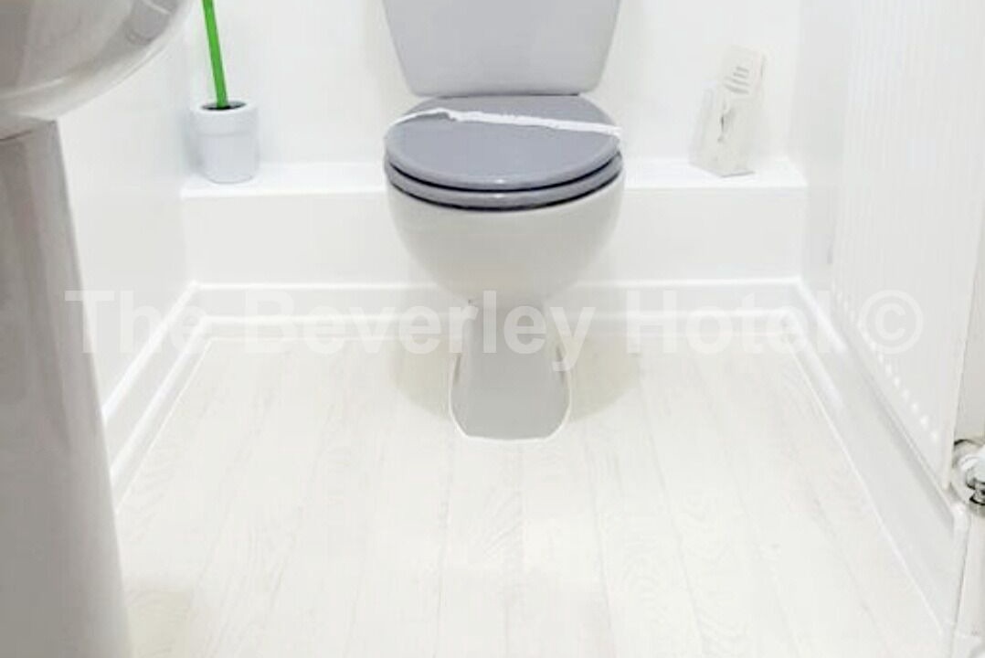 Photo of Others in South Shore