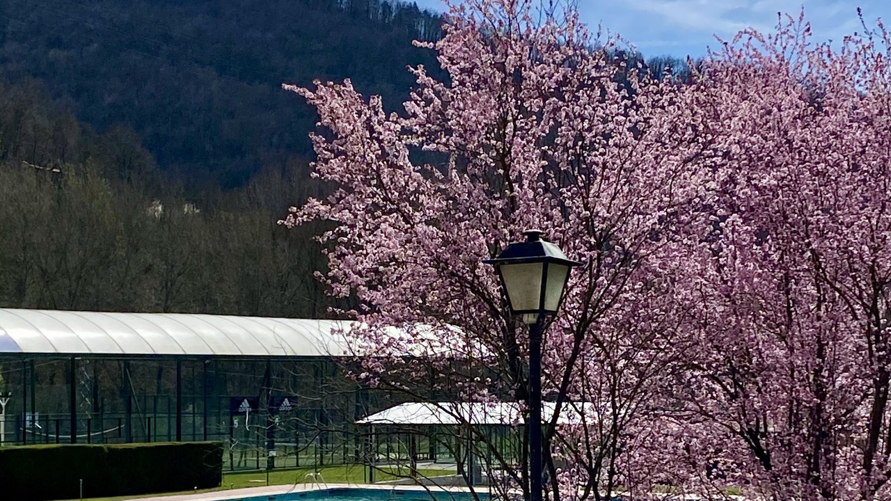 Photo of Outdoor in Ripoll