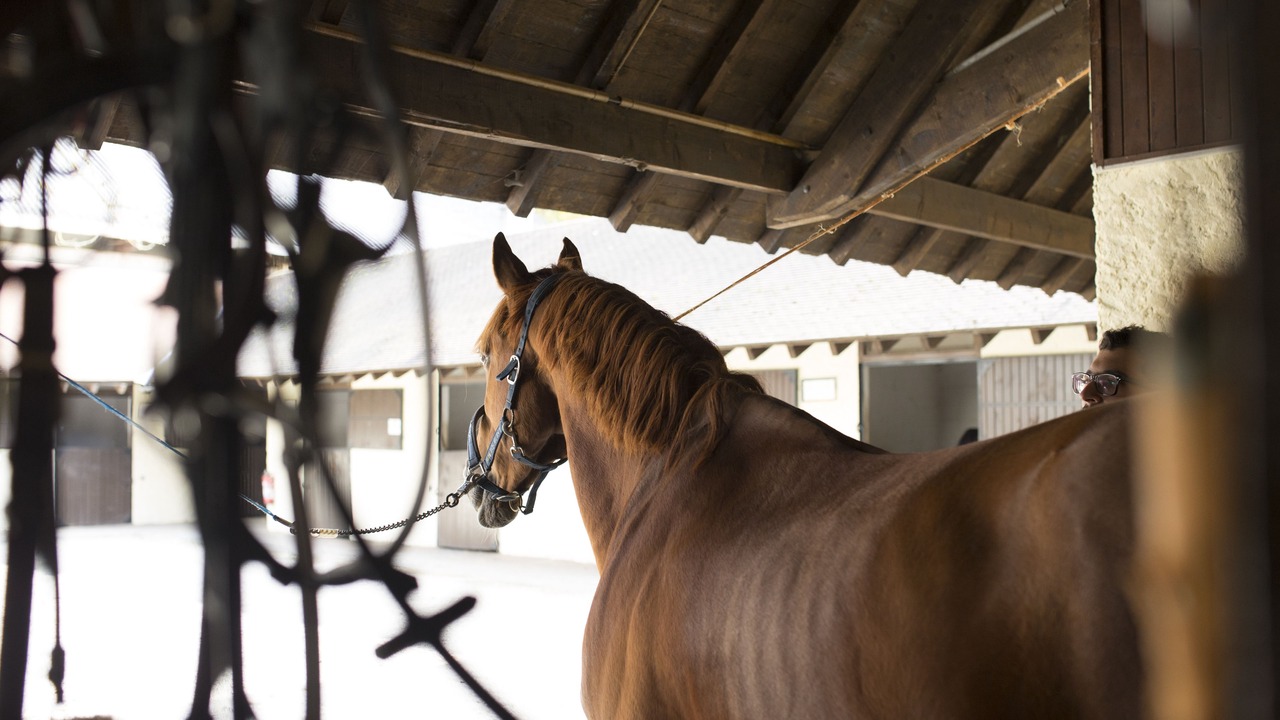 Photo of Others in Beyssac