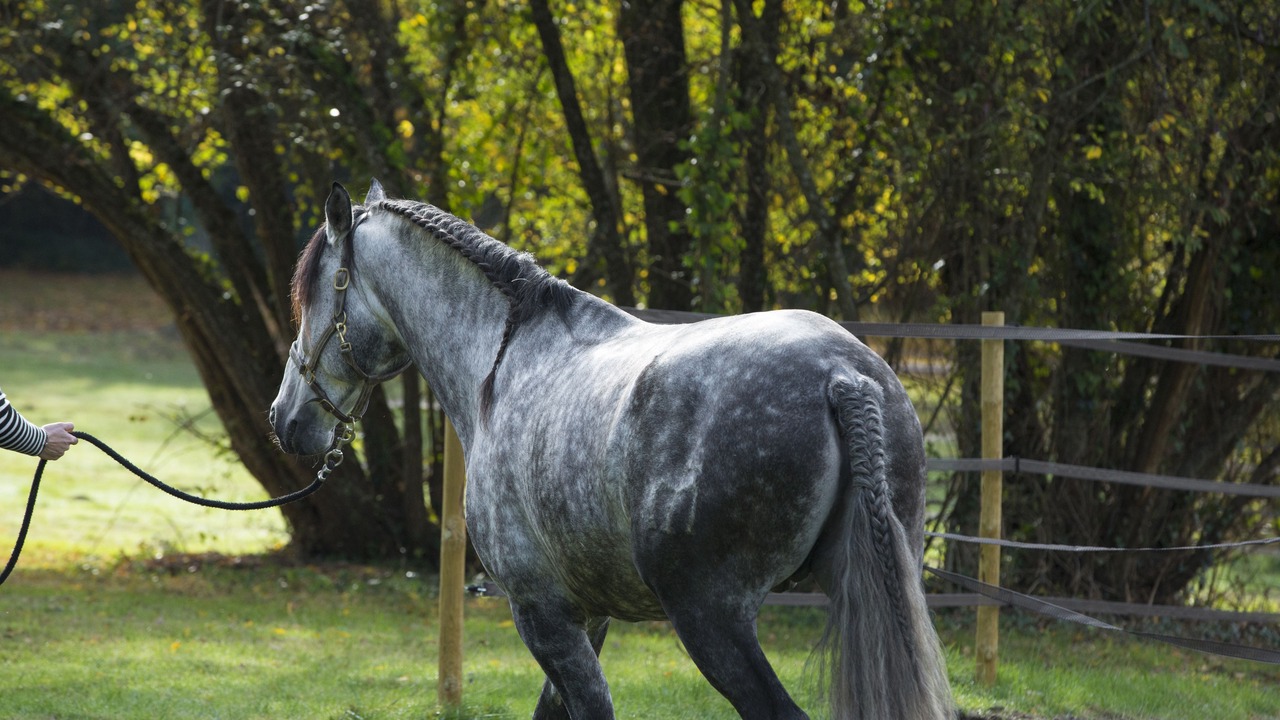 Photo of Others in Beyssac