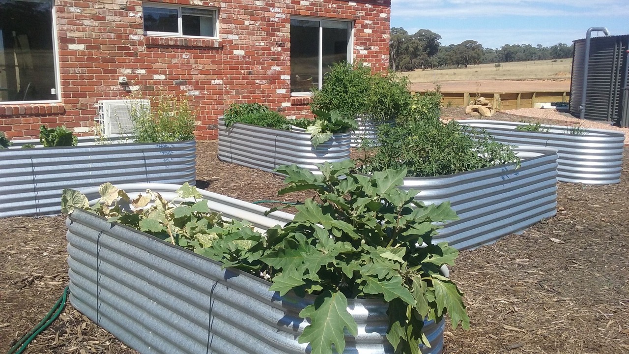 Photo of Outdoor in Axedale