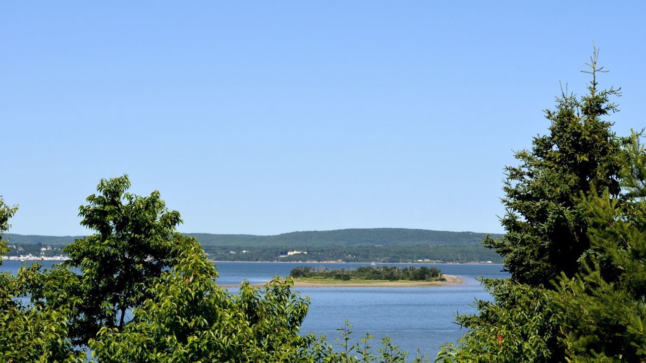 Photo of Others in Deep Brook