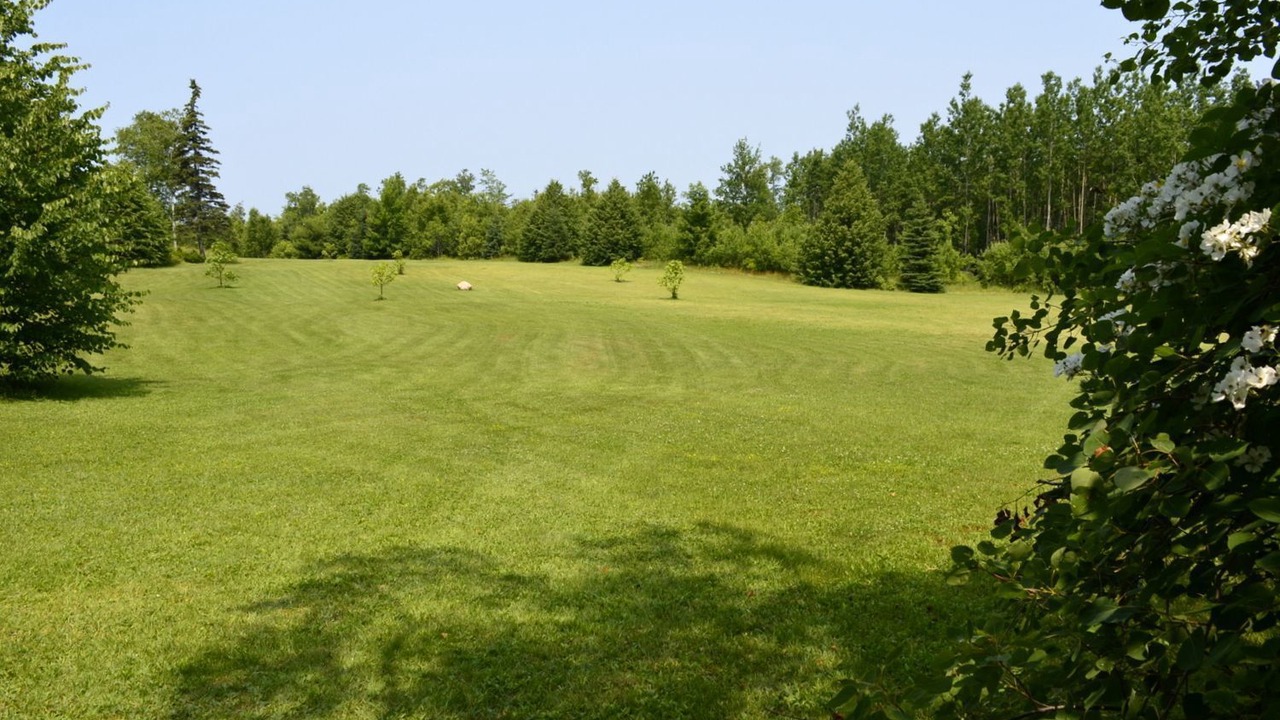 Photo of Outdoor in Deep Brook