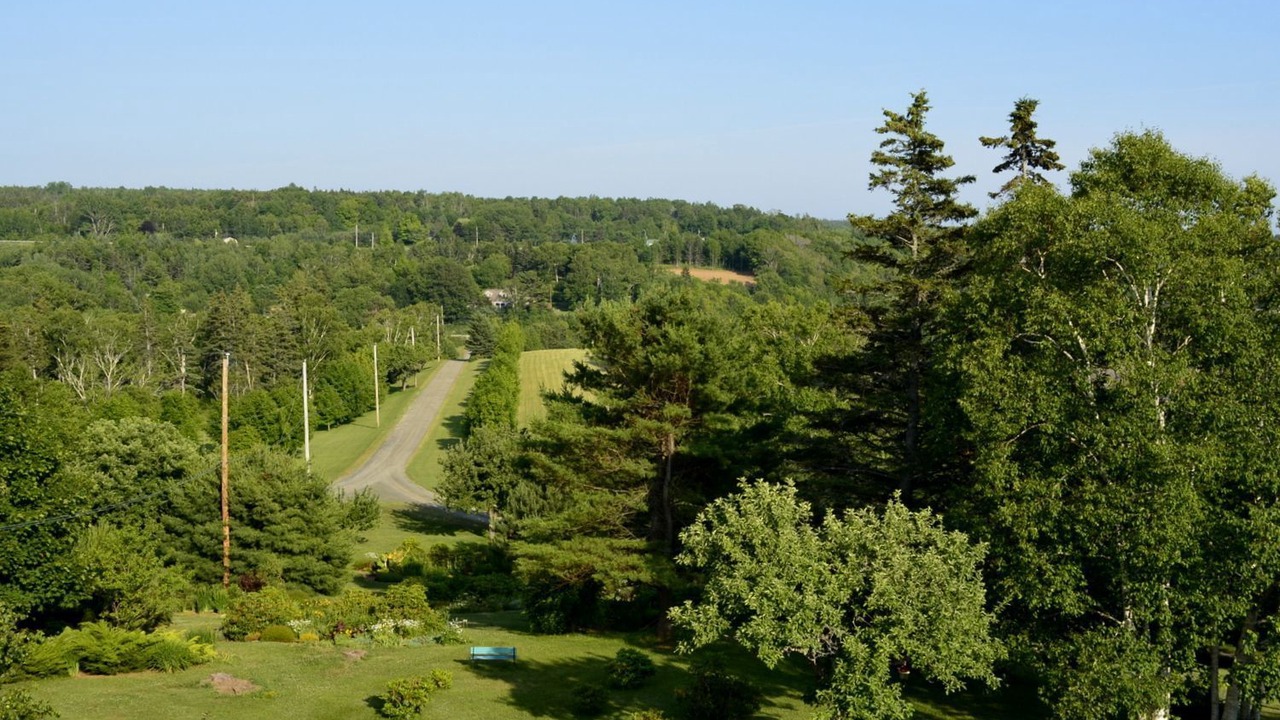 Photo of Outdoor in Deep Brook