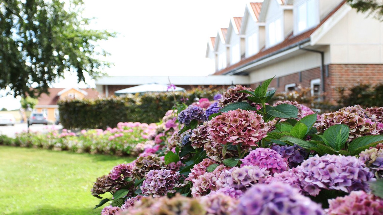 Photo of Outdoor in Varbjerg