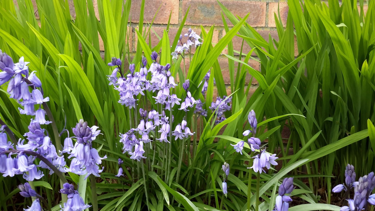 Photo of Outdoor in Stretton