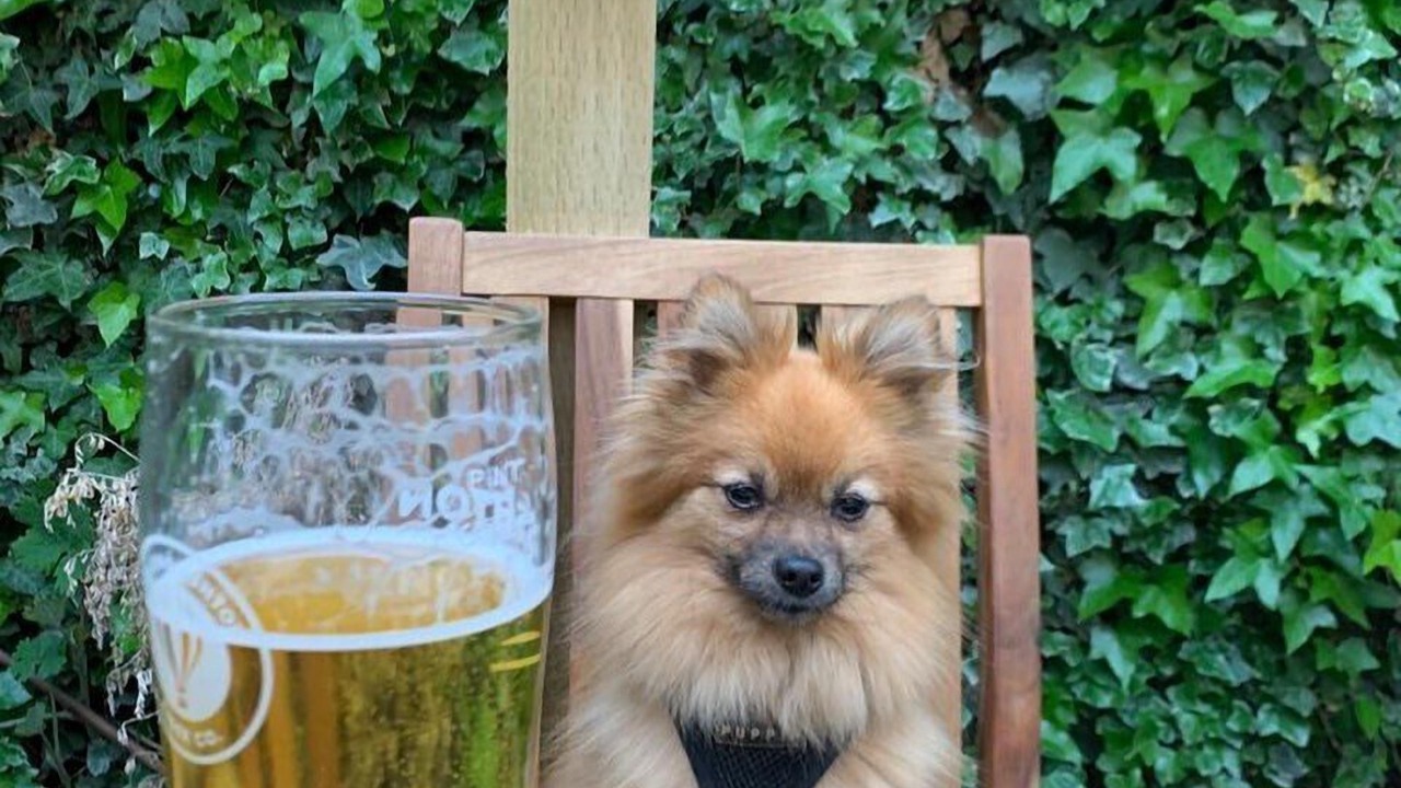 Photo of Bedroom in Rode
