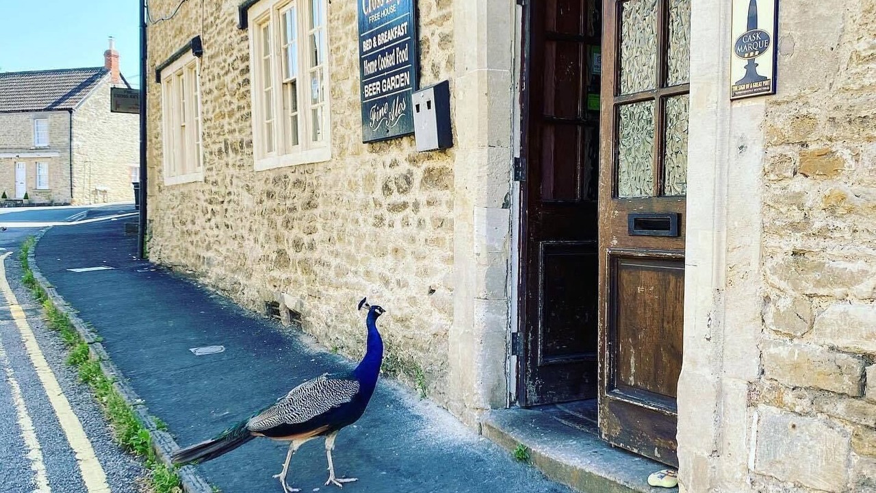 Photo of Bedroom in Rode